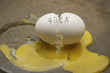 401K broken nest egg concept