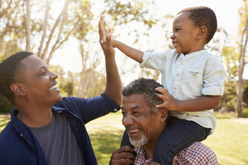 Wall Mural - Grandfather With Son And Grandson Having Fun In Park