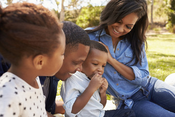 Wall Mural - Family Enjoying Summer Picnic In Park Together