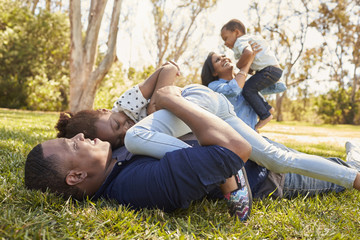 Wall Mural - Parents Playing With Children On Grass In Summer Park