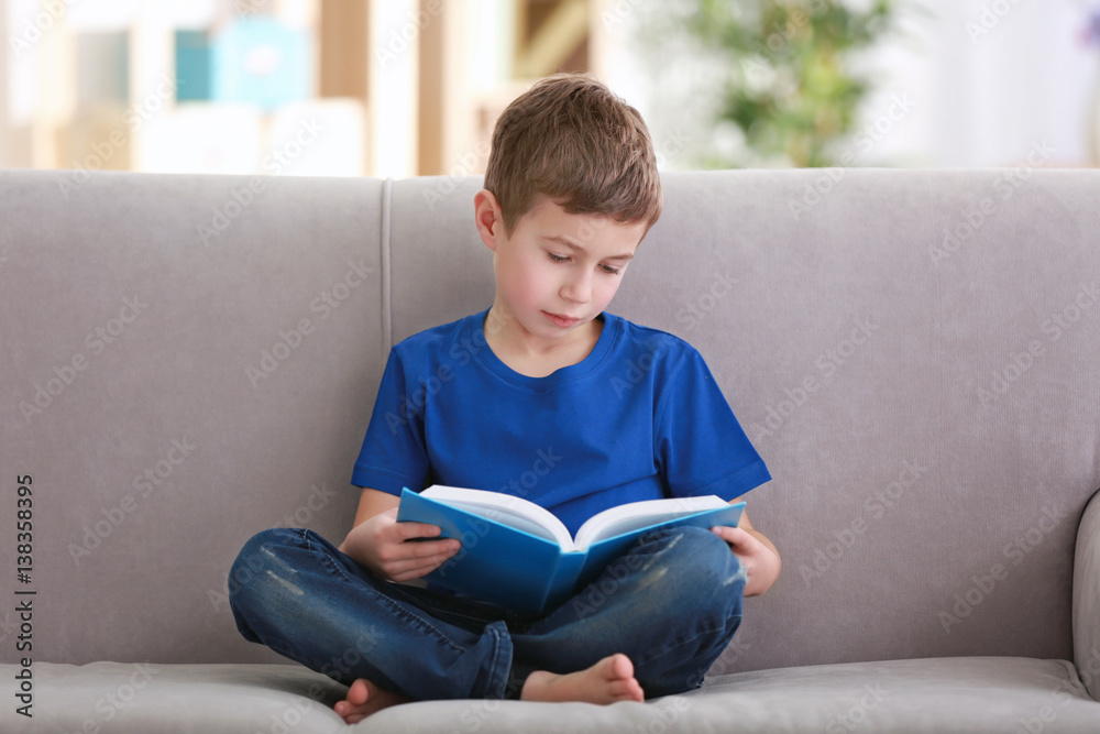 Little boy reading book on sofa indoors
