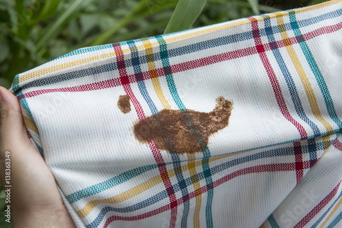 Fotografía Dirt stain on a napkin in a female hand over green grass
