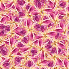 Wall Mural - seamless background with multicolored flower petal