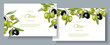 Olive horizontal banners