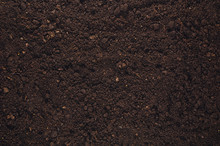 Fertile Soil Texture Background Seen From Above, Top View. Gardening Or Planting Concept With Copy Space. Natural Pattern