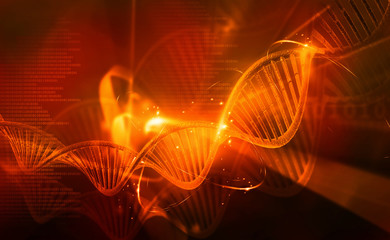 Wall Mural - Digital illustration of DNA molecules . 3d illustration .