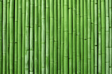 Fototapeta Sypialnia - bamboo fence background