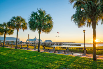 Fototapete - The Waterfront Park in Charleston