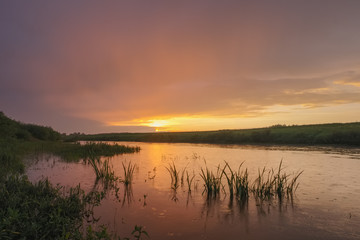 Summer landscape with the river in the rain at sunset. Ugra River in the Smolensk region