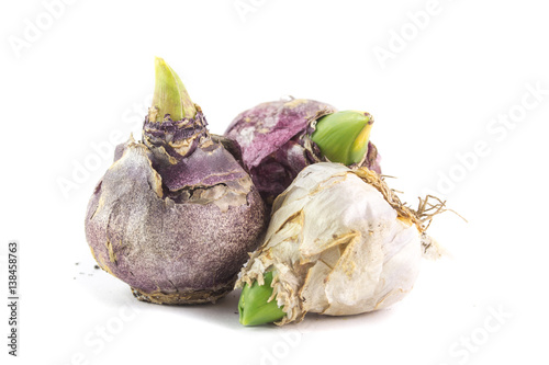 500_F_138458763_1wHuPrc4aXZyPn067QKIWKqeG4Ms3Q1v.jpg