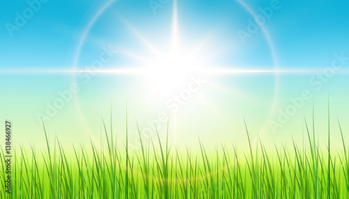 Green background with sun and grass, spring background