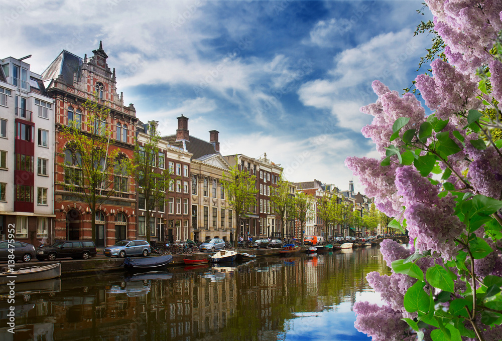 kanal-w-amsterdamie-w-sloneczny-dzien-z-kwiatami-bzu-po-prawej-stronie