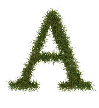 A Green grass alphabet