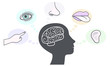 Five Human Senses and Brain Illustration