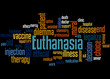 © kalpis - Euthanasia, word cloud concept 5