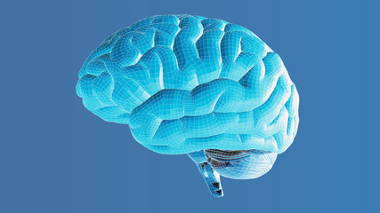 3D wireframe brain glowing on blue BG