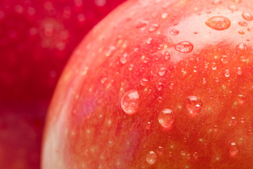 Poster - red wet apple with big droplet, macro shot