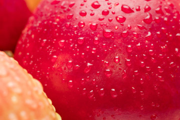 Wall Mural - red wet apple with big droplet, macro shot