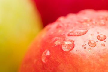 Poster - red wet apple with big droplet, macro shot