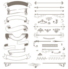 flowers set