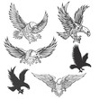 Illustration of flying eagle isolated on white background. Vector illustration.