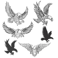 illustration of flying eagle isolated on white background. vector illustration.