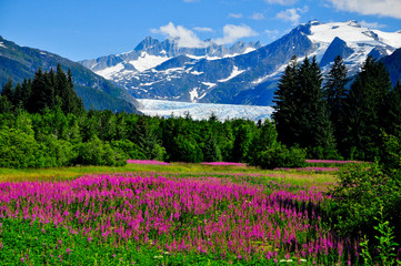 medenhall glacier outlook, juneau, alaska