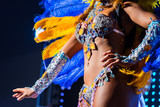 Beautiful bright colorful carnival costume dark background. samba dancer hips carnival costume bikini feathers rhinestones