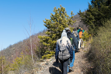 group hike up a hill