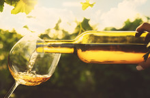 Pouring Wine Into Glass On Blurred Nature Background