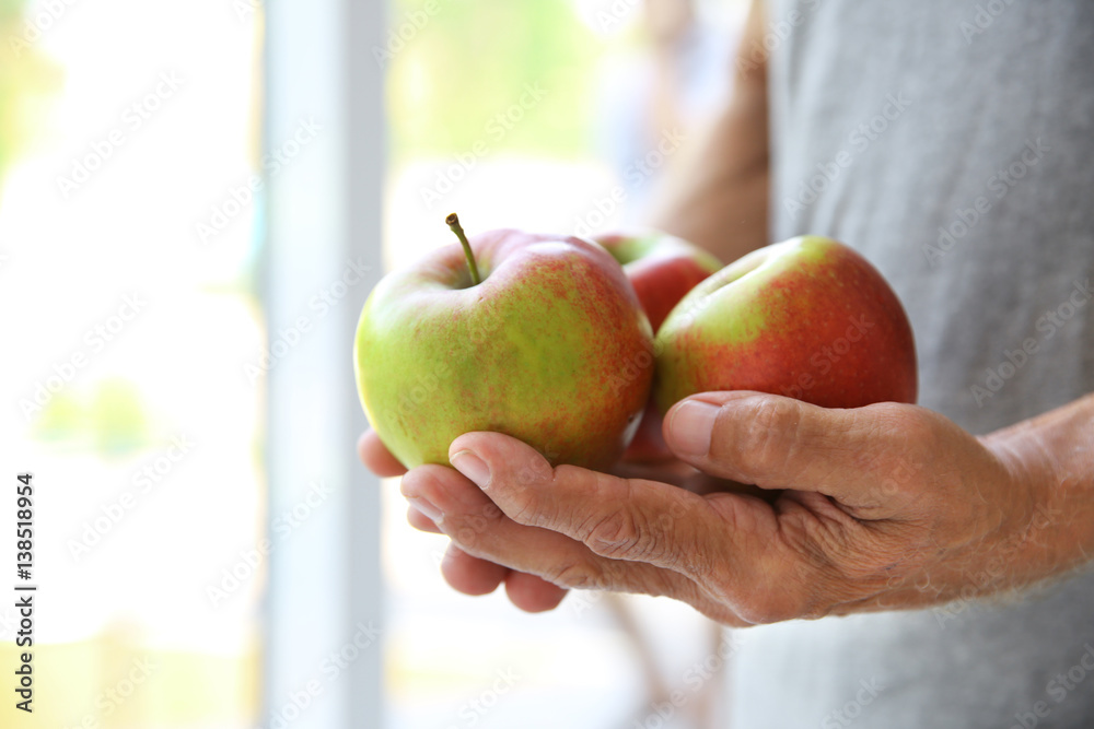 Old hands holding apples, closeup