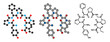 Beta-casomorphin peptide 7 molecule. Breakdown product of casein that may play a role in human diseases.
