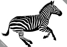 Black And White Linear Paint Draw Zebra Vector Illustration