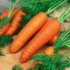 Wall Mural - Fresh carrots with green leaves