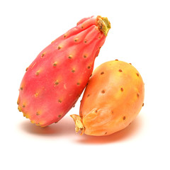 Wall Mural - cactus fruit