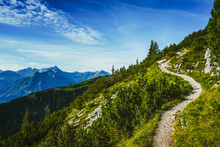 Hiking Trail Through Forested Alpine Peaks