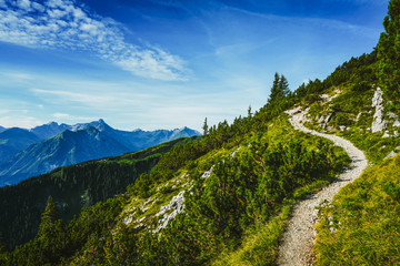 Hiking trail through forested alpine peaks