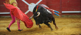 El Toro - Bullfigth corrida