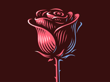 Red Rose - Vector Illustration, Emblem Design On Dark Background