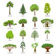 Flat green garden forest icons trees vector. Nature concept.