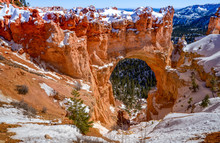 Natural Bridge Arch In Bryce Canyon National Park In Utah