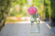 Pink Rose In Glass Jar On Wooden Table