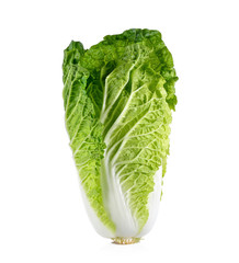 Wall Mural - fresh napa cabbage on white background