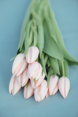 Wall Mural - Beautiful tulips, Fresh pink tulip flowers bouquet 