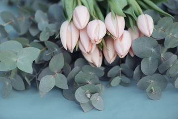 Wall Mural - Beautiful tulips, Fresh pink tulip flowers bouquet on eucalyptus leaves