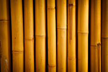 Yellow Bamboo Textured Background.