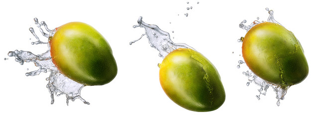 Wall Mural - Water splash and fruits isolated on white backgroud. Fresh mango