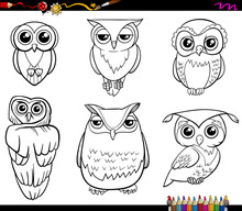 Owl Characters Coloring Page