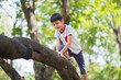 © wckiw - Little boy tryingto hang on the tree
