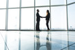 © F8  \ Suport Ukraine - business people shaking hands over office background